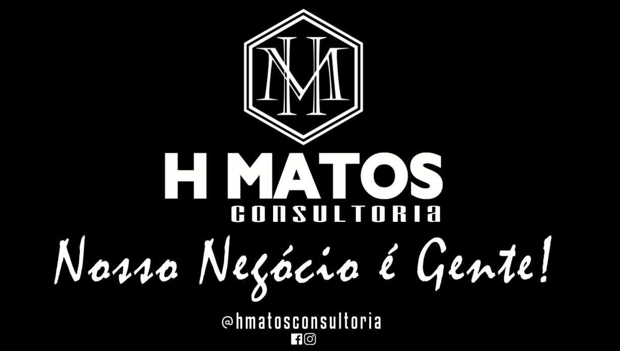 H MATOS CONSULTORIA